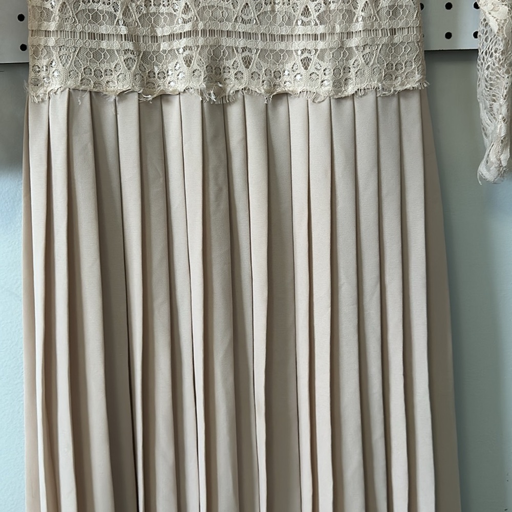 Zara Pleated Lace Midi in Blush - Picture 5 of 7